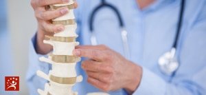 Bone Grafts in Spine Surgery