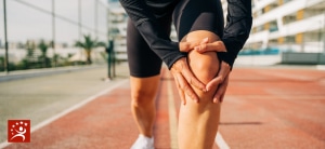 Meniscal Transplant