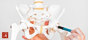 Synovitis of the Hip